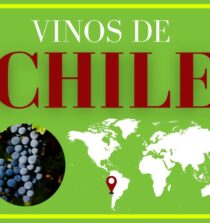 Descubre la cultura del vino en diversas regiones: tradiciones, sabores y experiencias únicas